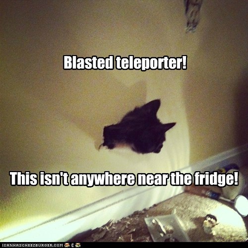 Unstable Experimental Technology Ruins Basement Cat's Evil Plans Yet Again