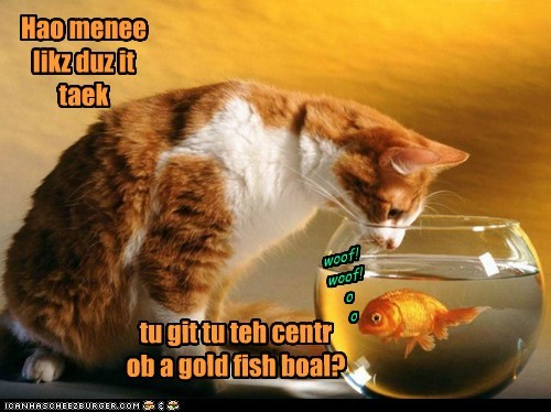 The Fish Would Rather Not Know