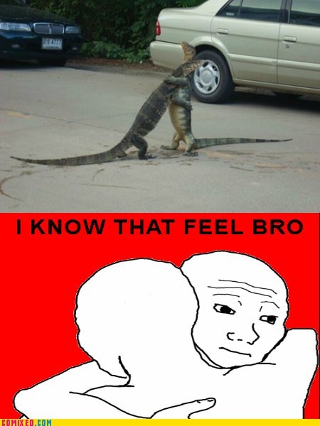 Even Cold Blooded Creatures Have Feelings