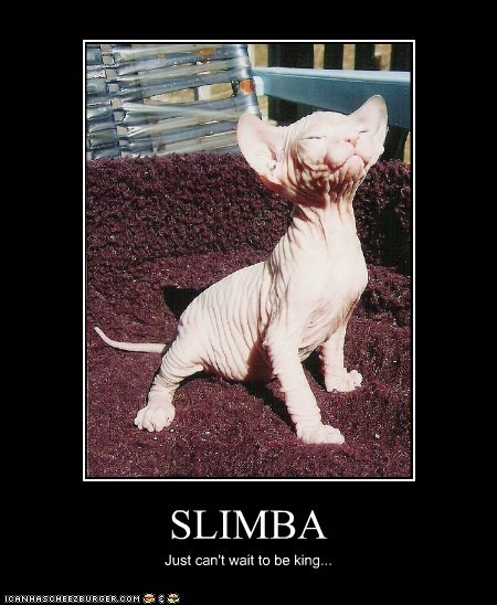 SLIMBA