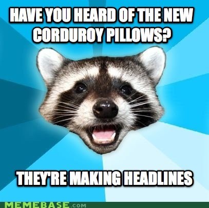 Lame Pun Coon on Interior Design
