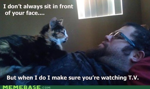 The Most Rude Pet in the World