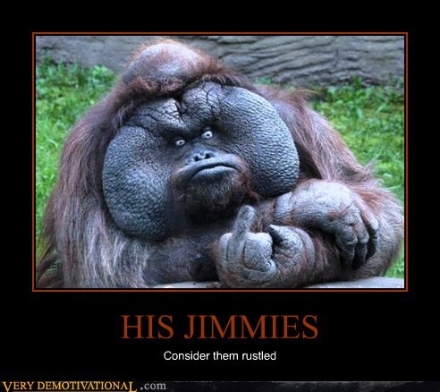 HIS JIMMIES