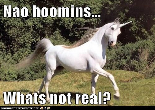 Nao hoomins...  Whats not real?