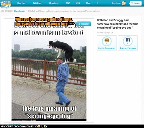 When you hover over a captioned image, 
the recaption button will appear here. >>>