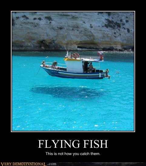 FLYING FISH