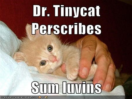 Dr. Tinycat Perscribes  Sum luvins