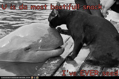 U is da most 
