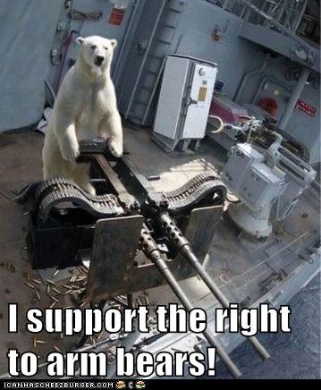 I support the right to arm bears!