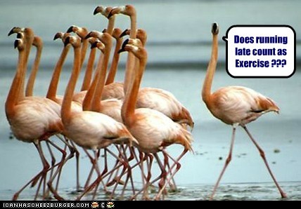 Does running late count as Exercise ???
