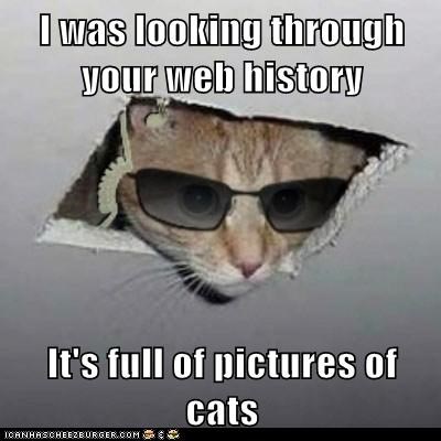 I was looking through your web history  It's full of pictures of cats