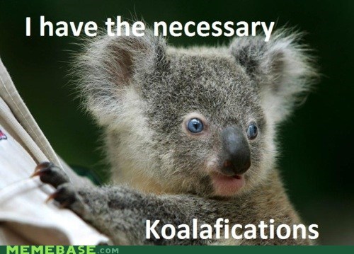 1) Be a Koala