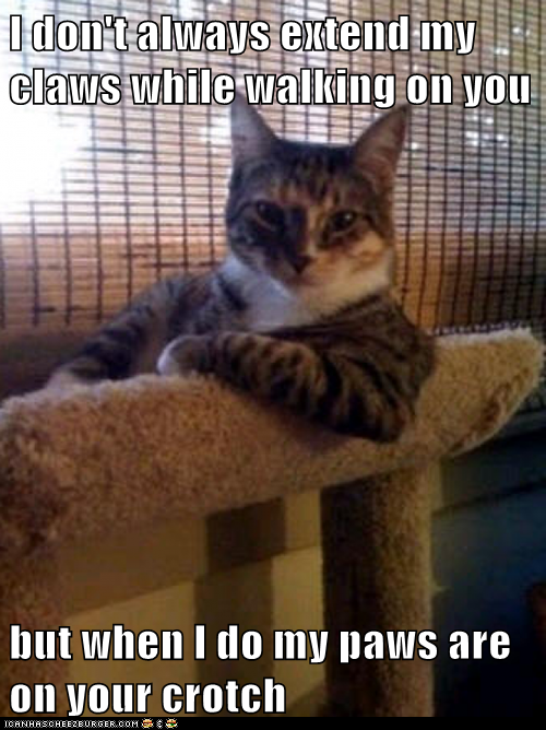 Animal Memes: The Most Interesting Cat in the World - And You're Wearing Sweat Pants
