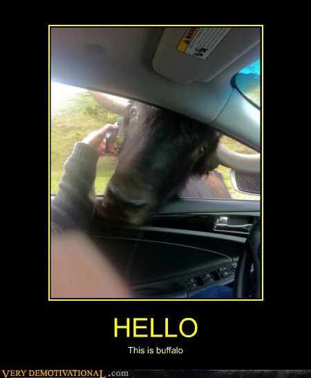 HELLO