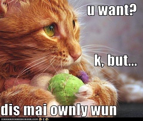 Classic LOLcat