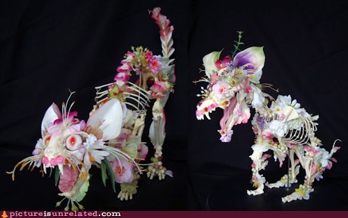 Undead  Floral Cats