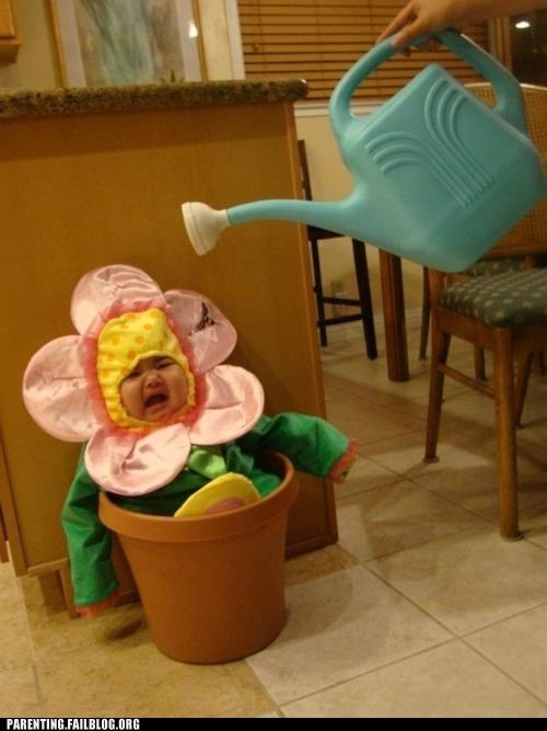 Anne Geddes Makes It Look So Easy