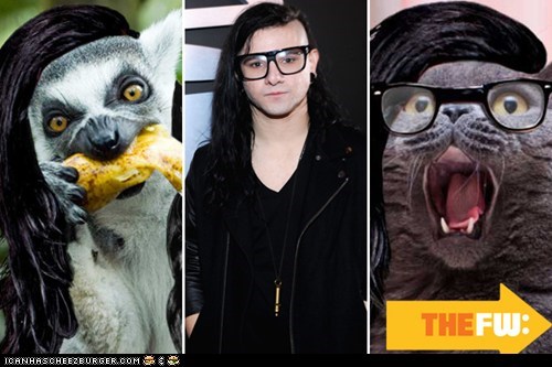 Around the Interwebs: 14 Animals With Skrillex Hair