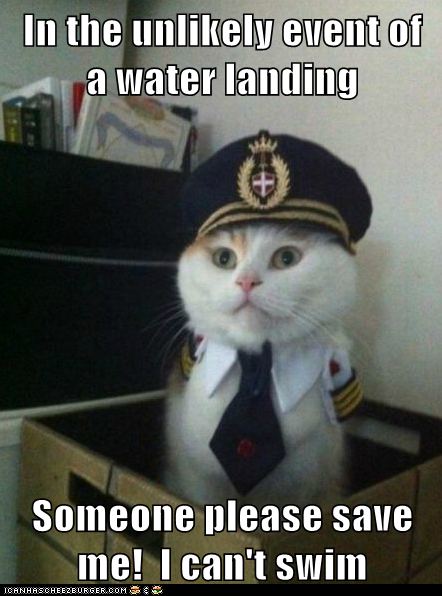 Animal Memes: Captain Kitteh - It's Like a Giant Endless Bath
