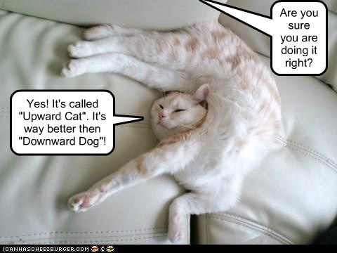 Better then Downward Dog