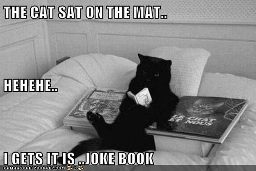 THE CAT SAT ON THE MAT.. HEHEHE.. I GETS IT IS ..JOKE BOOK