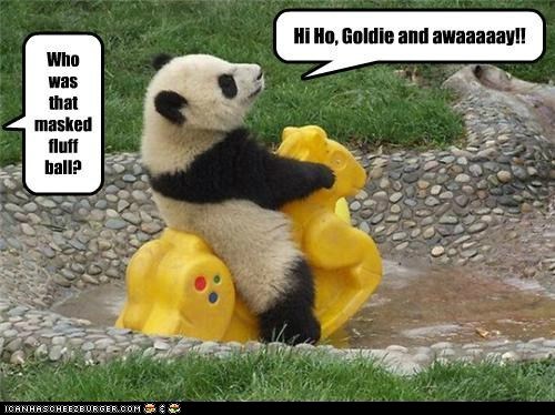 The Lone Panda Rides Again
