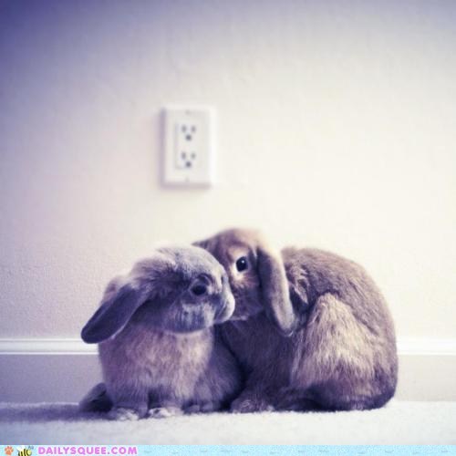 Lemme Tell You a Secret!