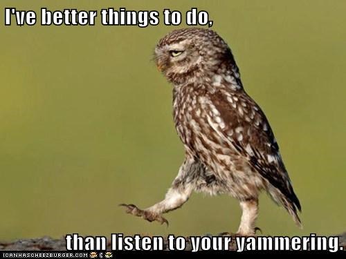 Better Things to Do