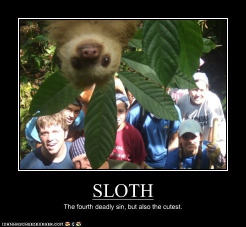 SLOTH