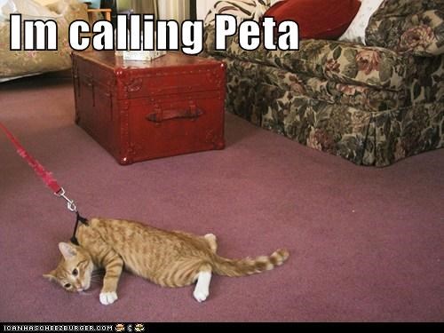 Im calling 