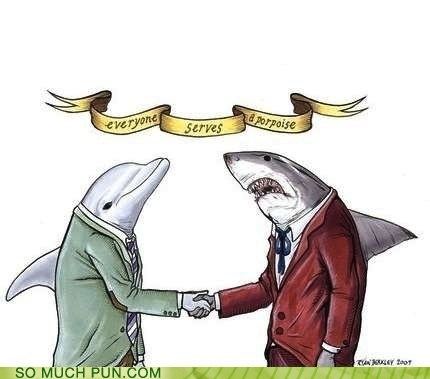 Everyone Serves a Porpoise
