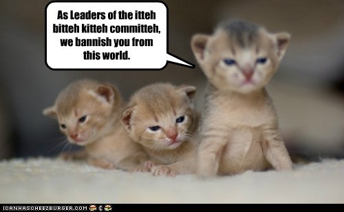 The Leaders of The Itteh Bitteh Kitteh Commiteh