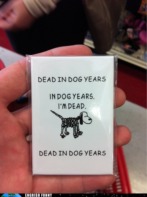 This Picture of a Dead Dog is a Dead Dog Picture