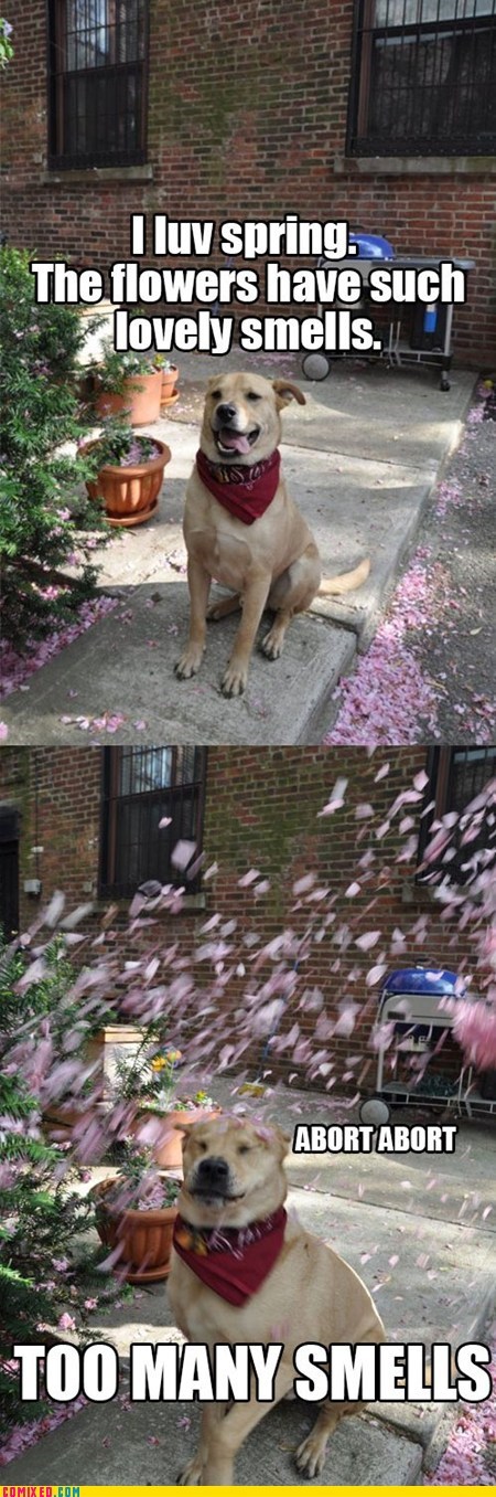 Smells Overload