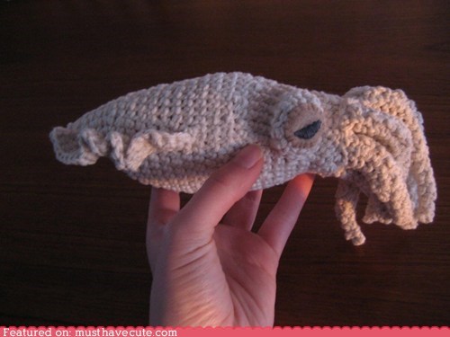 Cuttlefish Amigurumi Pattern