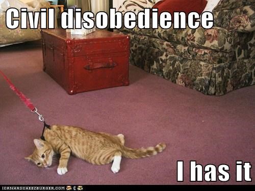 Civil disobedience  I has it