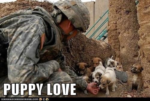 PUPPY LOVE