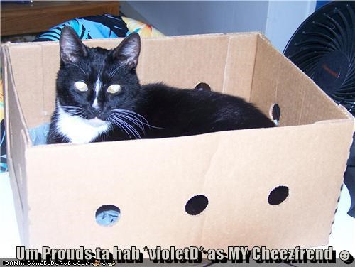 Um Prouds ta hab *violetD* as MY Cheezfrend ☻