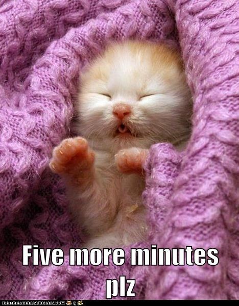 Five more minutes plz