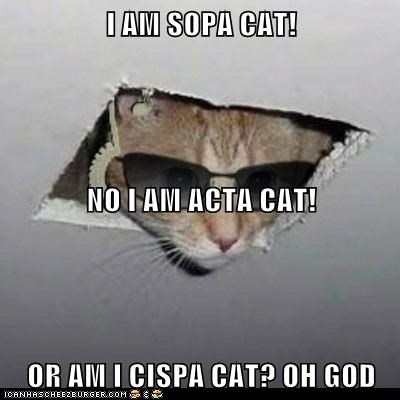 I AM SOPA CAT! NO I AM ACTA CAT! OR AM I CISPA CAT? OH GOD