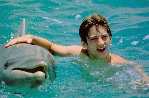 Saving Stranded Dolphin of the Day