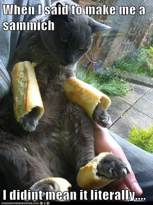 Lolcats: When I said to make me a sammich 