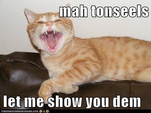mah tonseels  let me show you dem