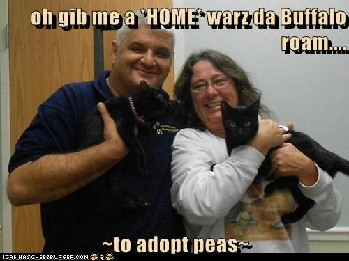oh gib me a *HOME* warz da Buffalo roam....  ~to adopt peas~
