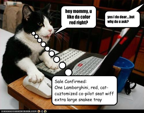bware ov innocent-sounding inquiriez frum tech-skilled kittehz