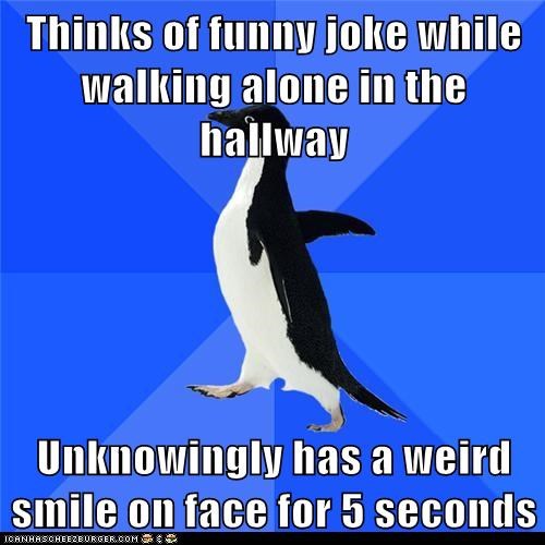 Animal Memes: Socially Awkward Penguin - Everybody Goes Out of Their Way to Avoid Me