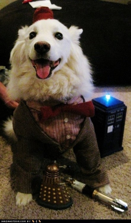 I Has A Hotdog: Doctor Who?
