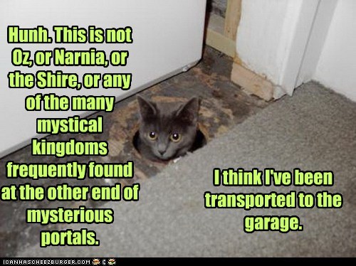 Lolcats: Hunh. This is not Oz