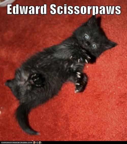Lolcats: Edward Scissorpaws