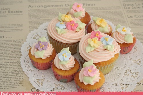 Epicute: Springtime Cupcakes